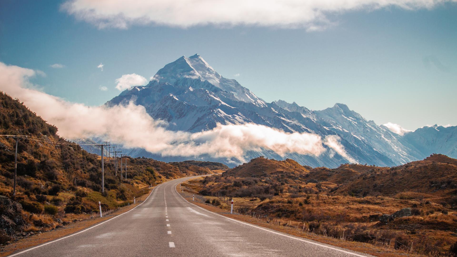 New Zealand Landscape photo - Organic Manuka Honey