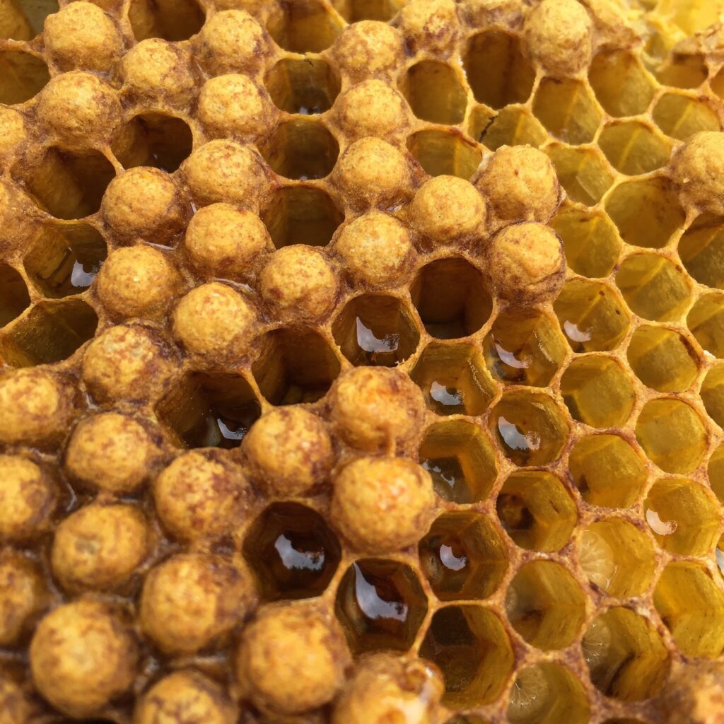 Manuka honey honeycomb