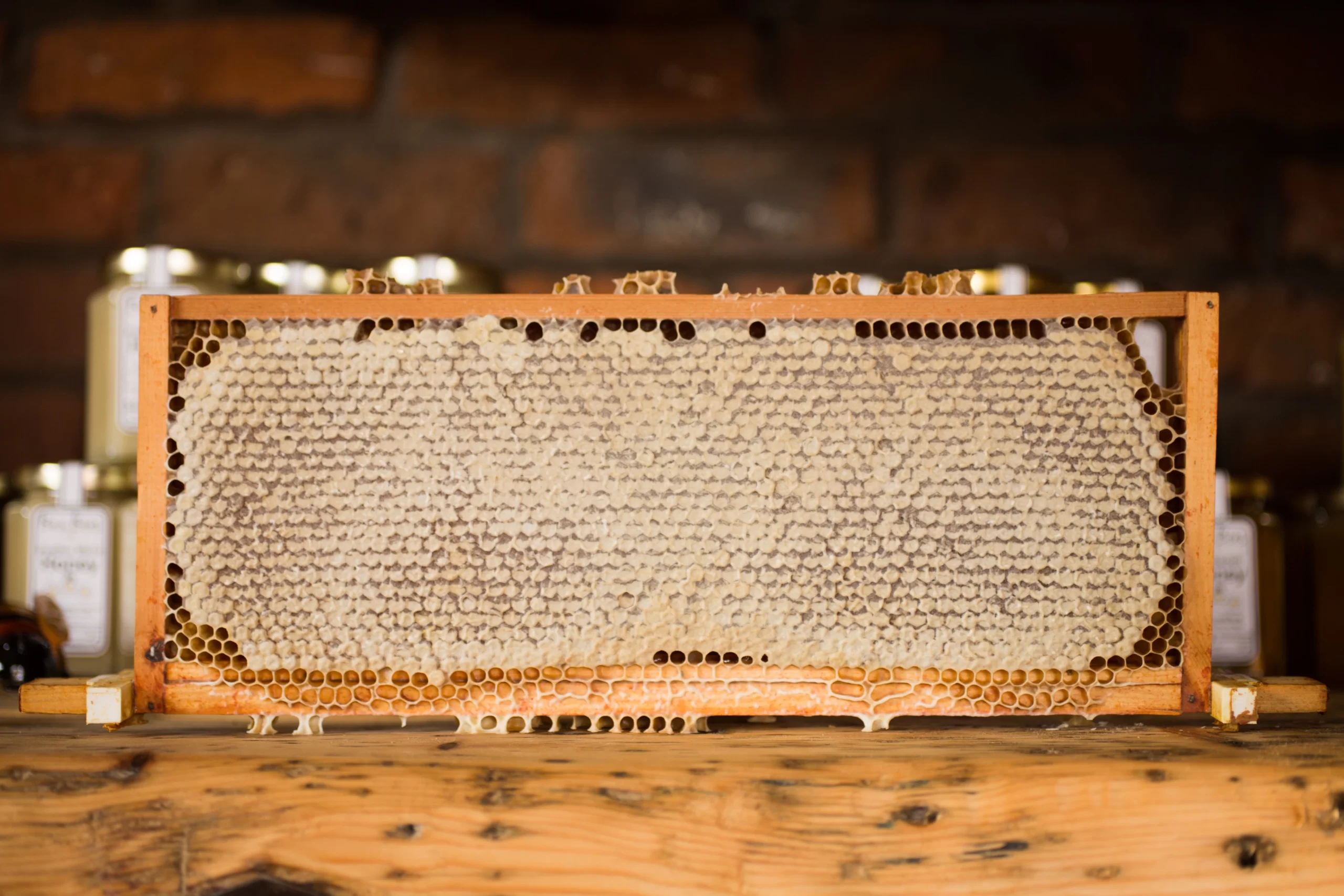 Benefits of Using Manuka Honey for Scalp Health