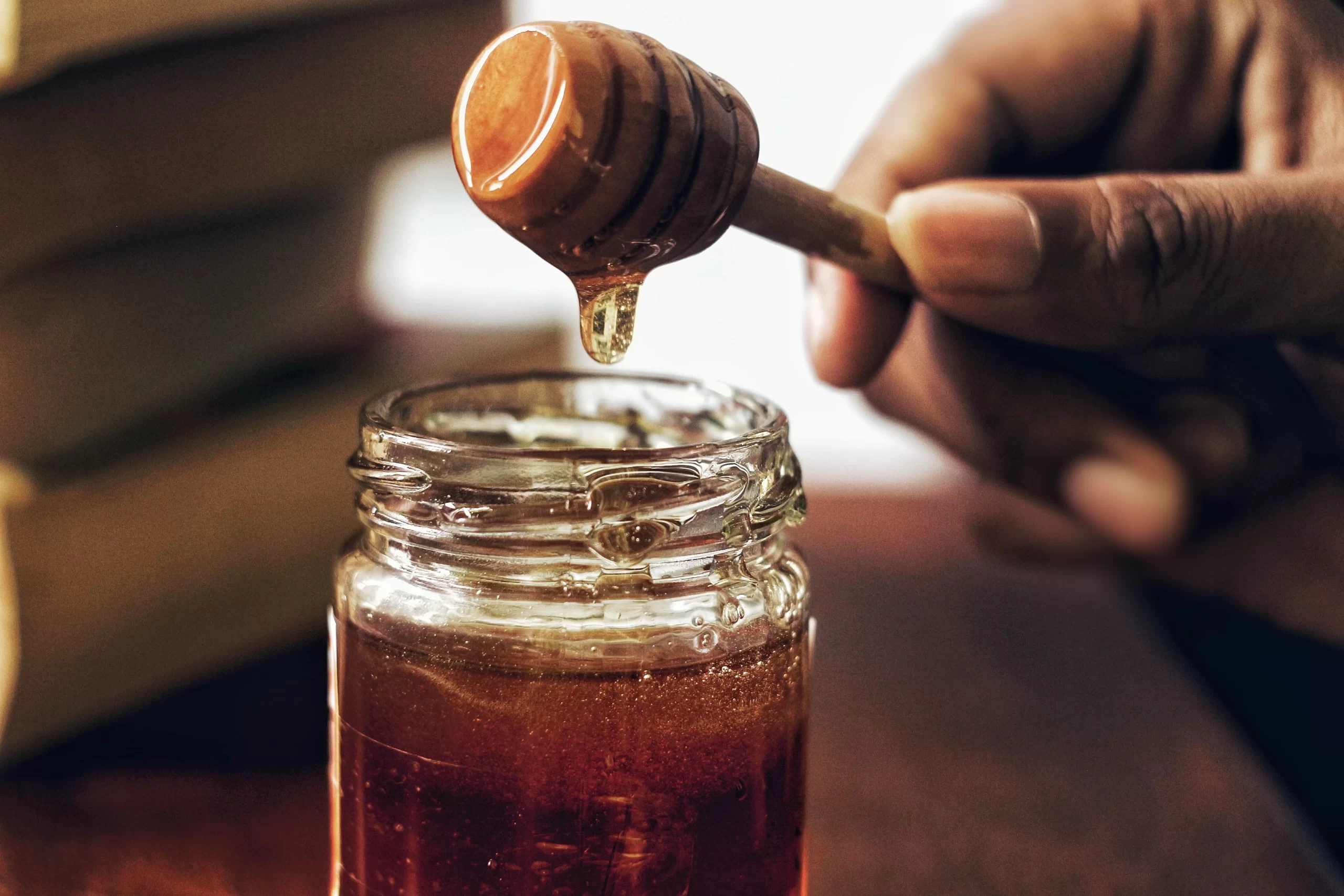 Manuka Honey for Cats and Dogs: Natural Lick Granuloma Treatment Options