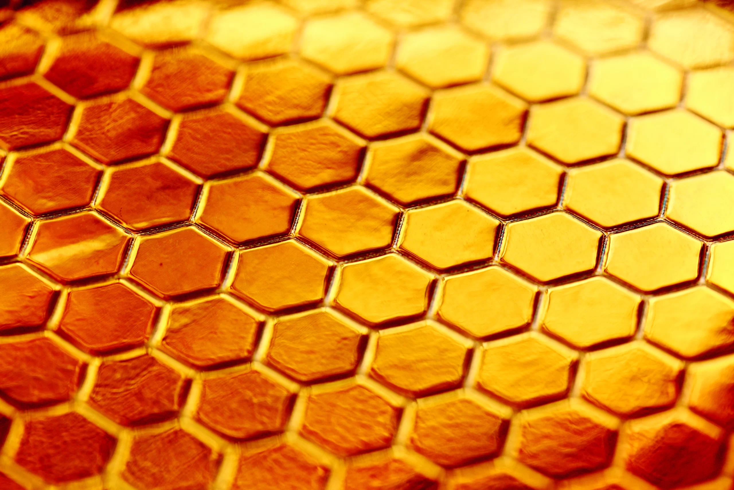 Using Honey for Kennel Cough: A Natural Remedy for Dogs | Honey for Kennel Cough Treatment