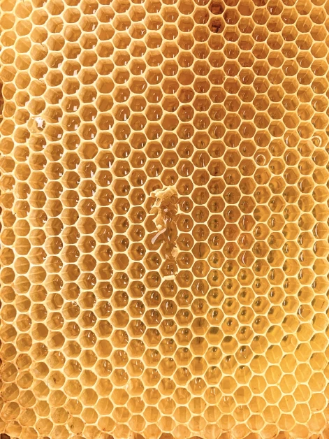 manuka honey for bloating