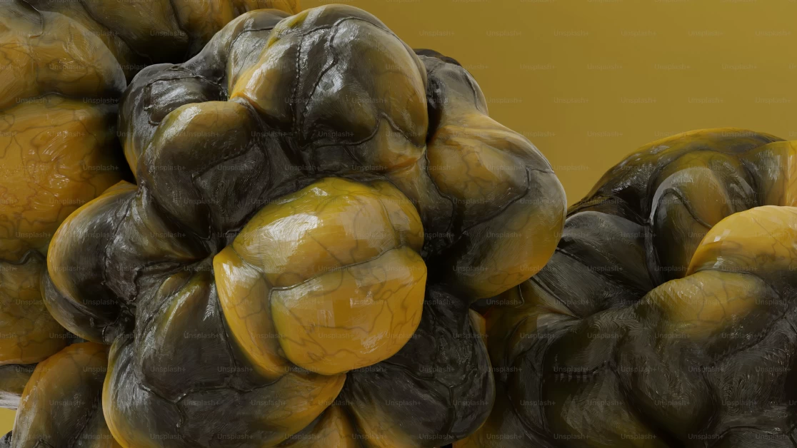 manuka honey for digestion