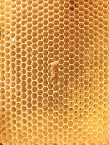 manuka honey for skin