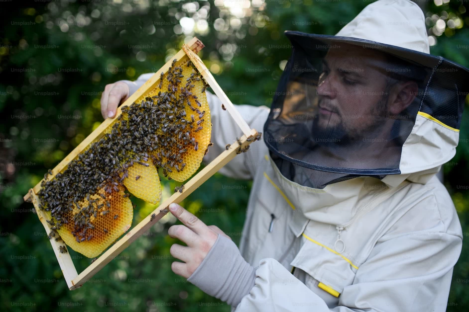 how do bees produce honey