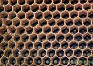 manuka honey for eczema