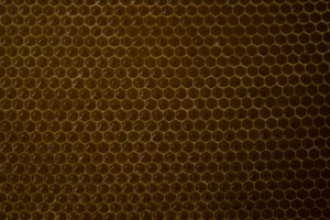 manuka honey for digestion