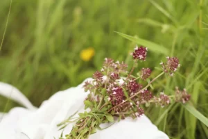 manuka honey for sports injuries