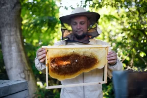 manuka honey for sports injuries