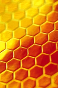 manuka honey for sports injuries