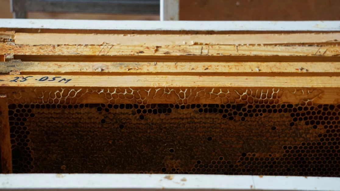 Why Choose an Ultra-High Grade Manuka Honey for Its Anti-Inflammatory Benefits