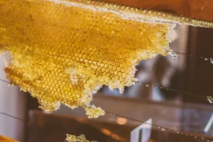 manuka honey for cholesterol