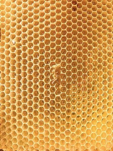 manuka honey for energy