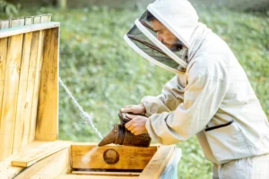 manuka honey for colds